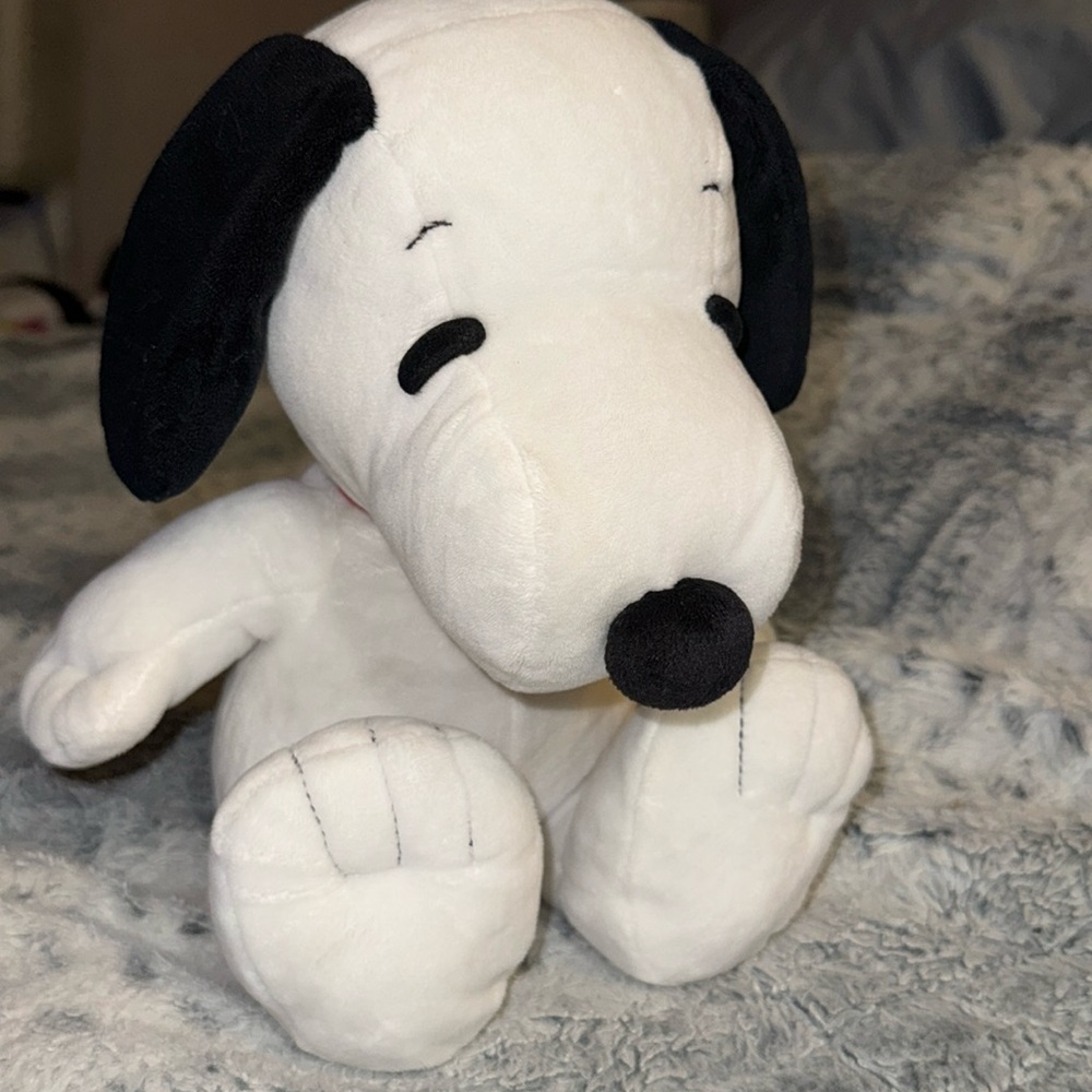 Adults or Kids Snoopy Plushie from the early 1999-2003 days! In great condition